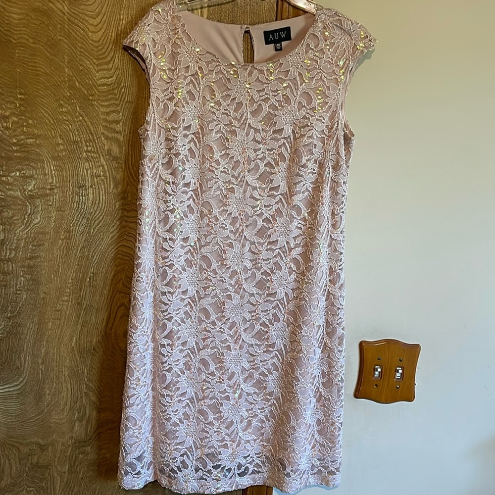 Lace Sequin Dress
